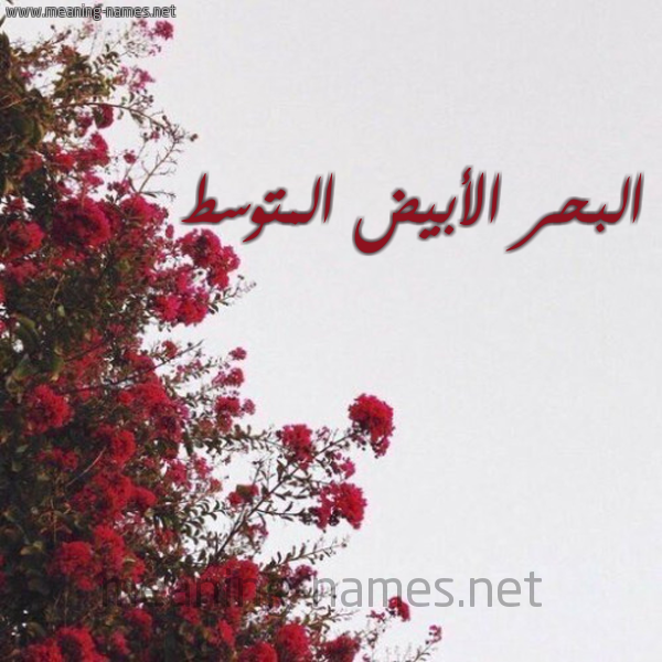 شكل 18 صوره الورد الأحمر للإسم بخط رقعة صورة اسم البحر الأبيض المتوسط ALBHR-ALABID-ALMTOST